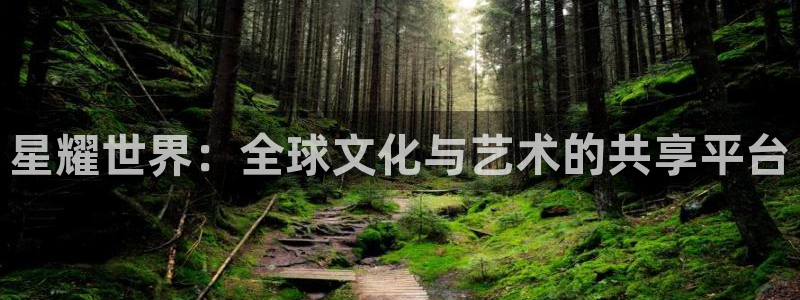 BB贝博艾弗森集团股票：星耀世界：全球文化与艺术的共享平台